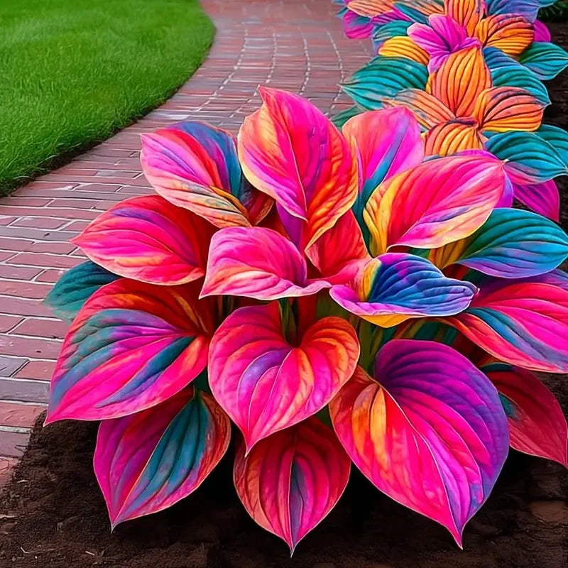 /698b65258864dd0008a5a954/2026/04/14/product-img-69ddede9f707c0639afa46b1.png